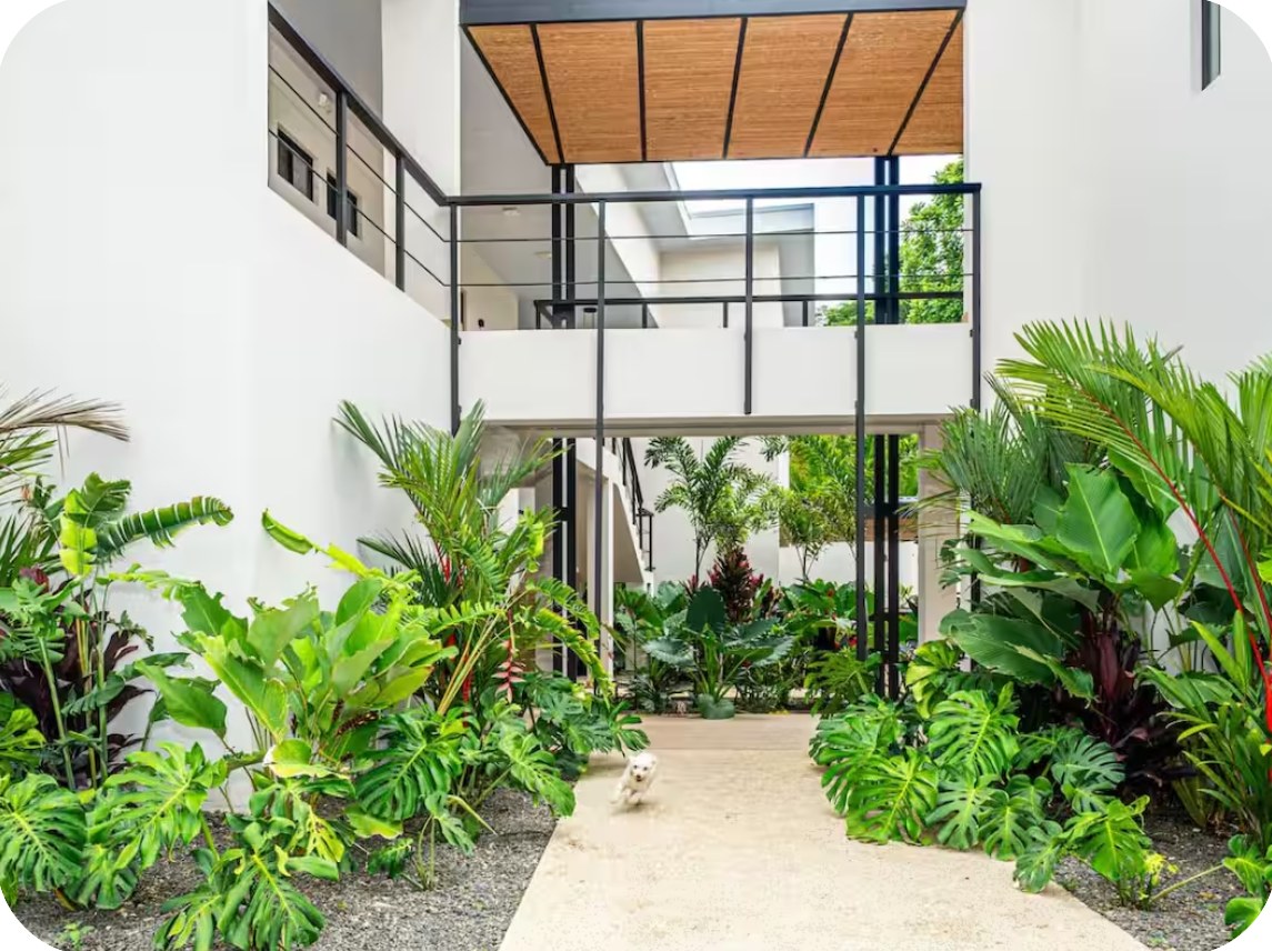 Villa LaLa Land, entrada tropical